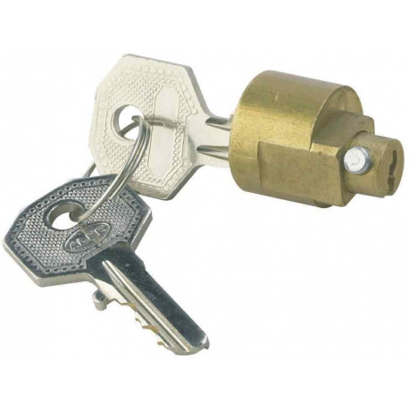 Antivol remorque pour stabilisateur AKS 2000 - Remorques Discount