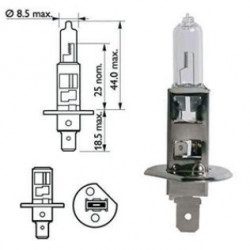 Ampoule H3 12V pour remorque- Remorques Discount